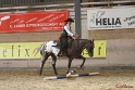 26-ApHC GT_103